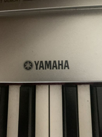 YAMAHA Portable GrandDGX-640 Кишинёв - изображение 1