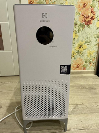 Воздухоочиститель Electrolux Yin&Yang EAP-2050D Бессарабка - изображение 1