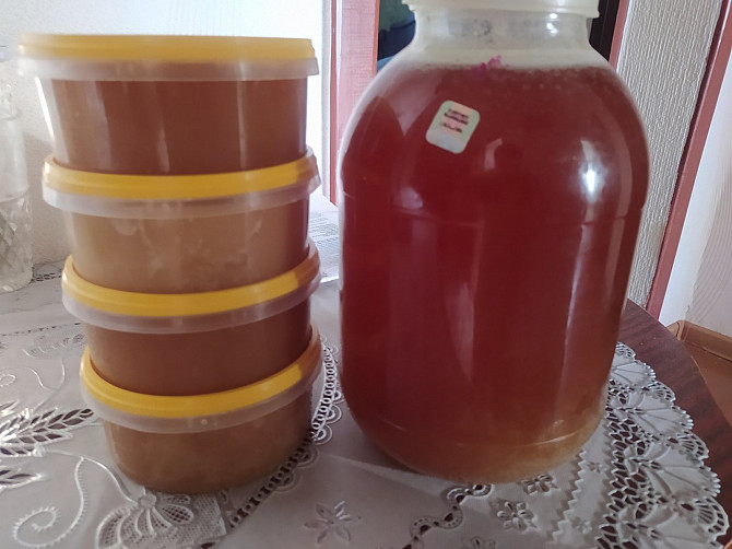 Продам мед Быхов - изображение 1