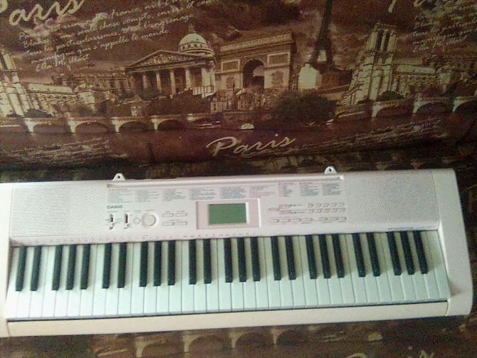 Синтезатор CASIO LK-127. РОЗОВЫЙ Могилёв - изображение 2