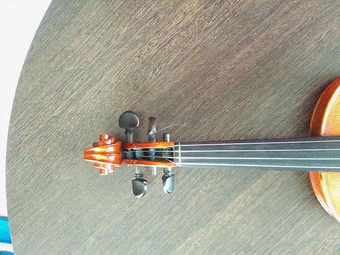 Скрипка, модель «Нова» 3/4 Goronok String Instruments Могилёв - изображение 4