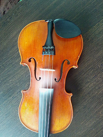 Скрипка, модель «Нова» 3/4 Goronok String Instruments Могилёв - изображение 2