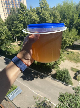 Продам мёд весняний Кишинёв - изображение 1