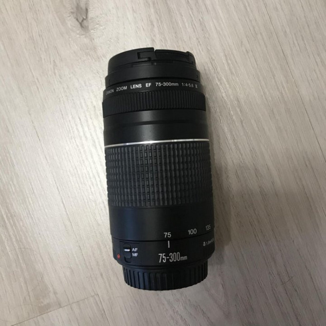 Объектив Canon EF 75-300mm Великие Луки - изображение 1